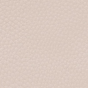 Jackie Crossbody Phone Bag