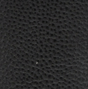 Dani Crossbody Phone Bag